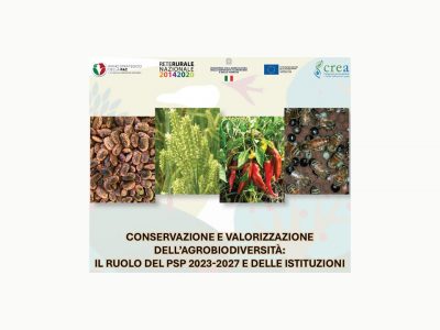 3 dicembre 2024: FIRAB partecipa al convegno della Rete Rurale Nazionale “Conservazione e valorizzazione dell’Agrobiodiversità: il ruolo del PSP 2023-2027 e delle Istituzioni”